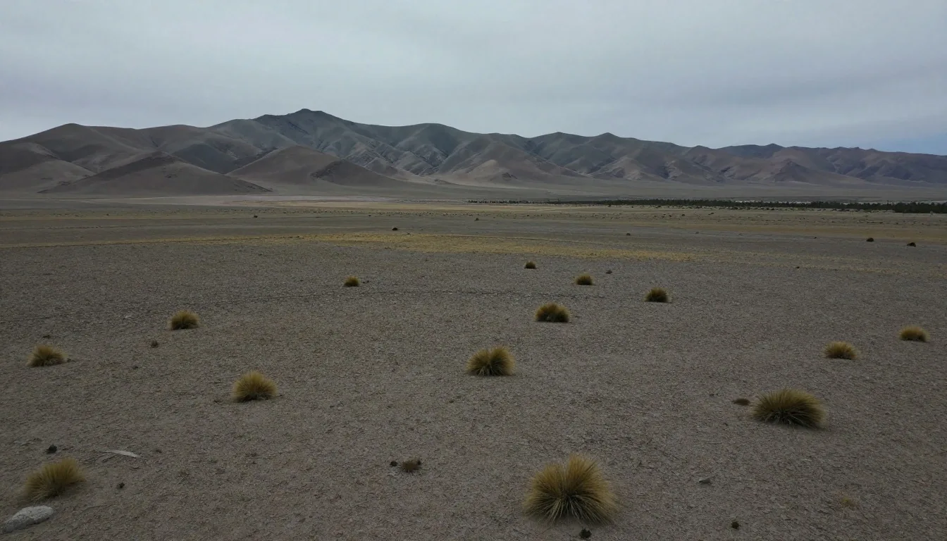 Rangeland patagónico bajo luz difusa